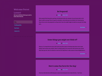 ferretsforever.info snapshot