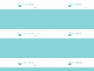 thuisverplegingneteland.be snapshot