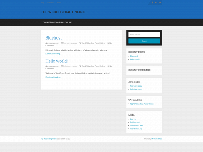 topwebhostingonline.com snapshot