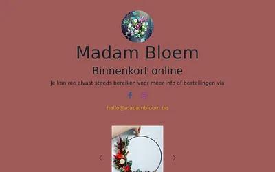 madambloem.be snapshot