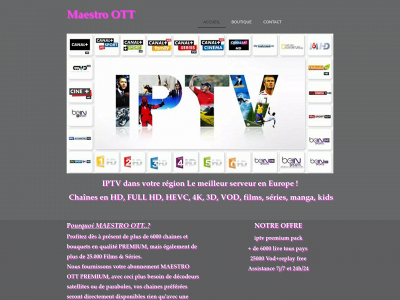 maestro-ott.store snapshot