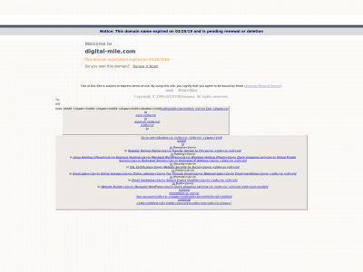 digital-mile.com snapshot