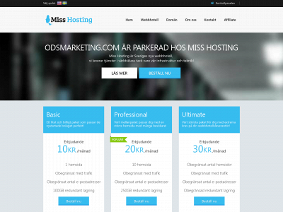 odsmarketing.com snapshot