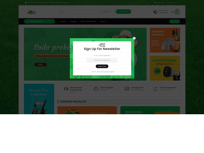 virgmila.lt snapshot