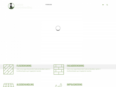 aarhusalgebehandling.dk snapshot