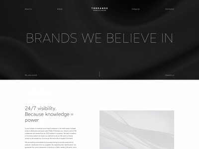 tgbrands.lt snapshot
