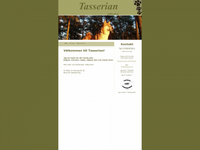 tasserian.se snapshot