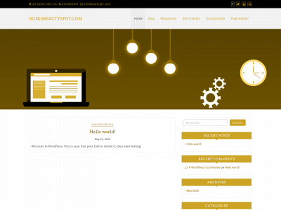 ronisbeautyspot.com snapshot