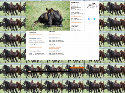 tcpartner.no snapshot