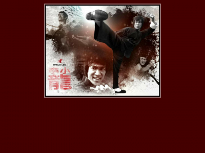 brucelee.dk snapshot