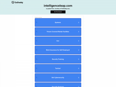 intelligenceleap.com snapshot