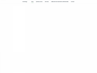 mssinergy.com snapshot