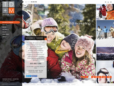 tamarinddesign.com snapshot