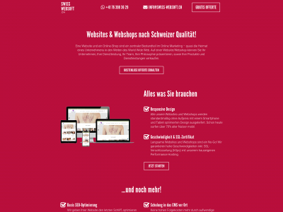 swiss-websoft.ch snapshot