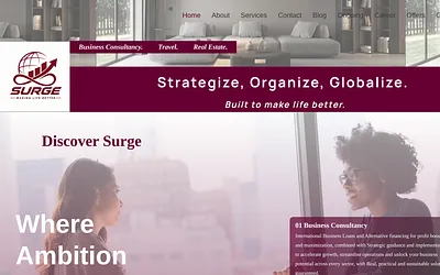 surgelimited.com snapshot