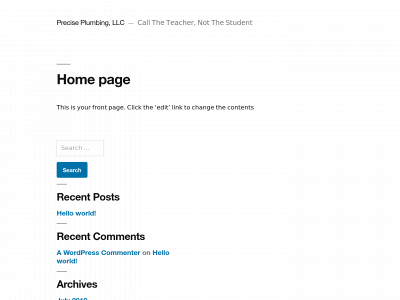 preciseplumbingservice.com snapshot
