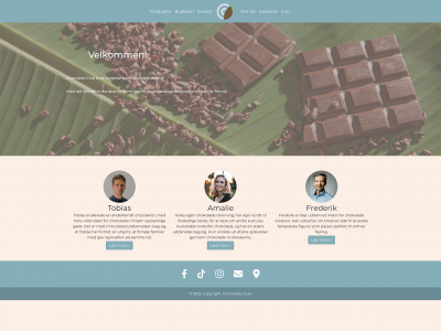 vangdesign.dk snapshot