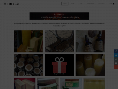 thetingoat.com snapshot