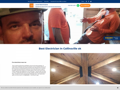 borgeselectrical.com snapshot