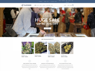 budzhome.com snapshot