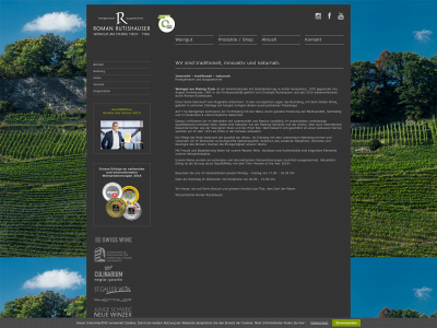 weingut-am-steinig-tisch.ch snapshot