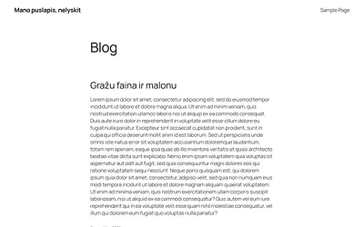 mindaugasb.lt snapshot