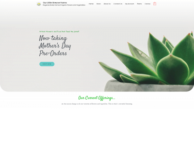ourlittlegrewve.com snapshot