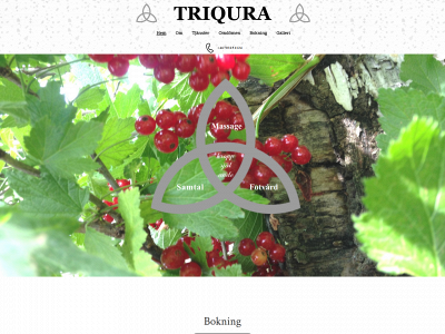 triqura.se snapshot