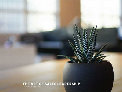 theartofsalesleadership.com snapshot