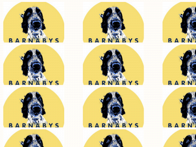 barnabyspets.co.uk snapshot