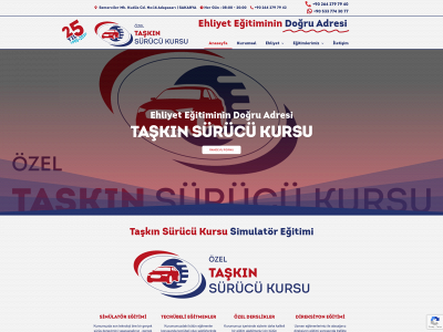 taskinsurucukursu.com snapshot
