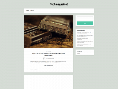 techmagasinet.dk snapshot