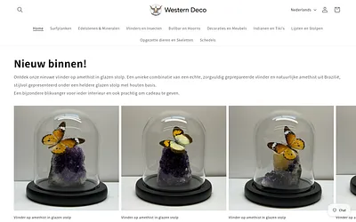 westerndeco.nl snapshot