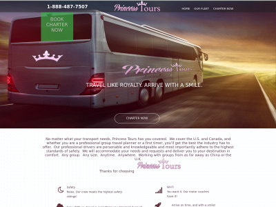 princesstoursonline.com snapshot