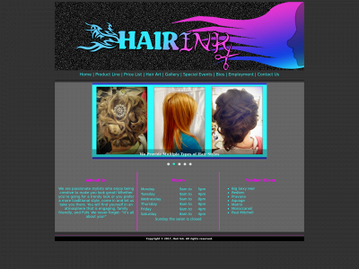 hairinkmchenry.com snapshot