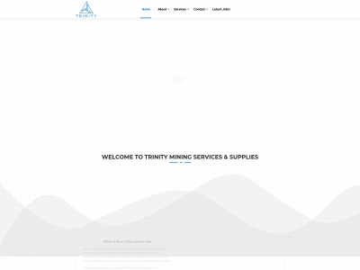 trinitymsas.com.au snapshot