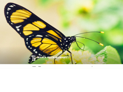 theraggedbutterfly.com snapshot