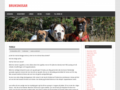 bruksnosar.se snapshot