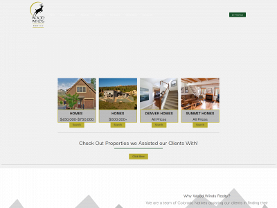 woodwindsrealty.com snapshot
