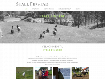 stallfinstad.no snapshot