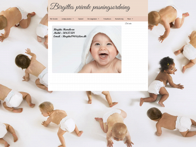 birgittesdagpleje.dk snapshot