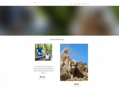 americanshepherdzucht.de snapshot