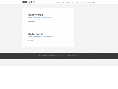handsfreesanitizer.nl snapshot
