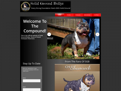solidgroundbullyz.org snapshot