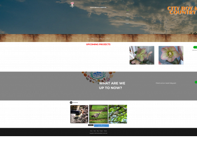 cityboymeetscountrygirl.com snapshot