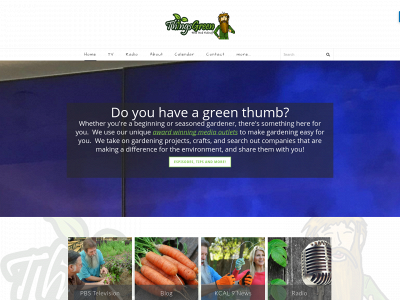 www.thingsgreen.com snapshot