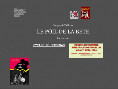 lepoildelabete.fr snapshot