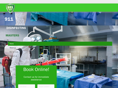 911disinfectingmasters.com snapshot