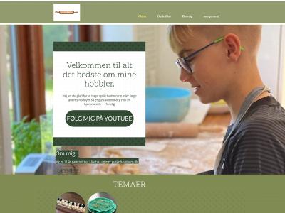 gustavkronborg.dk snapshot