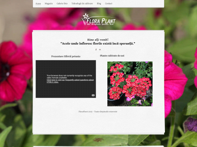 floraplant.weebly.com snapshot